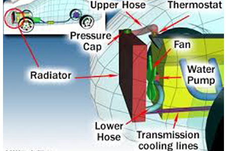 Mini service redcliffe
